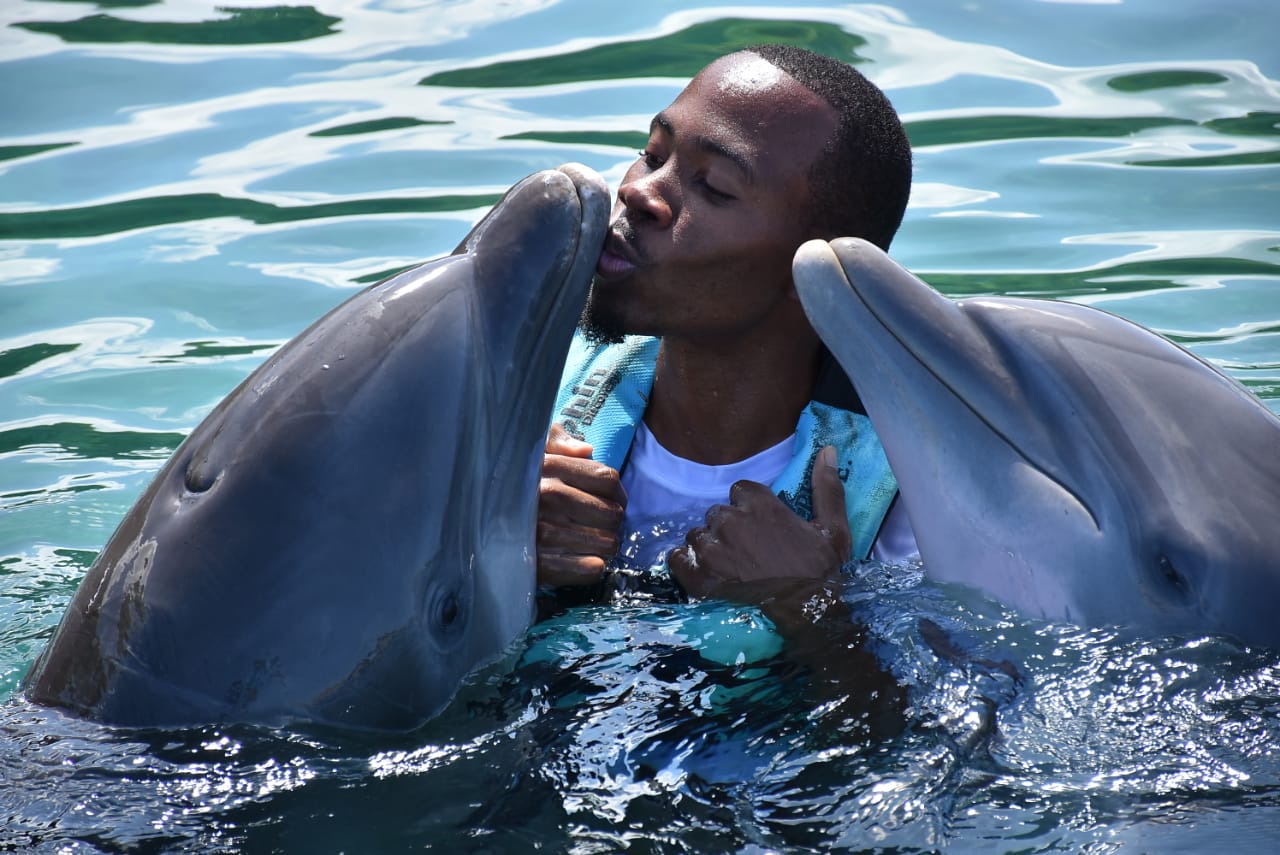 With The Dolphins